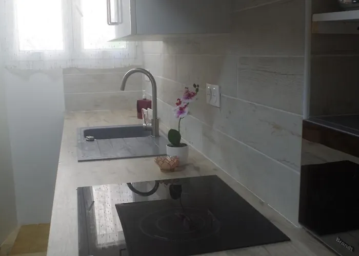 Typical Corsican * 切尔维奥内