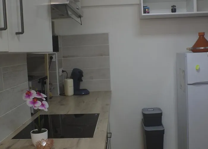 Typical Corsican Appartement *